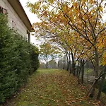 Quinta Da Maldisposta, Carmo * Sao Romao de Aregos