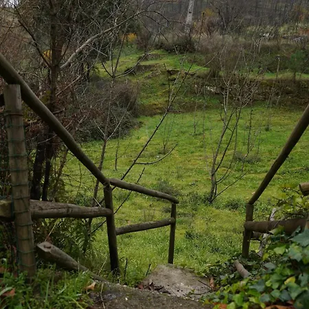 別荘 Quinta Da Maldisposta, Carmo Sao Romao de Aregos